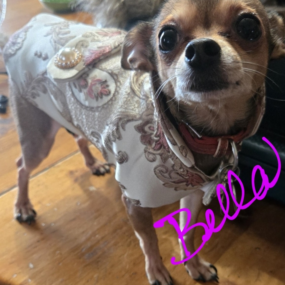 Simple yet Beautiful Dog Jacket in Cream, Pink and Taupe